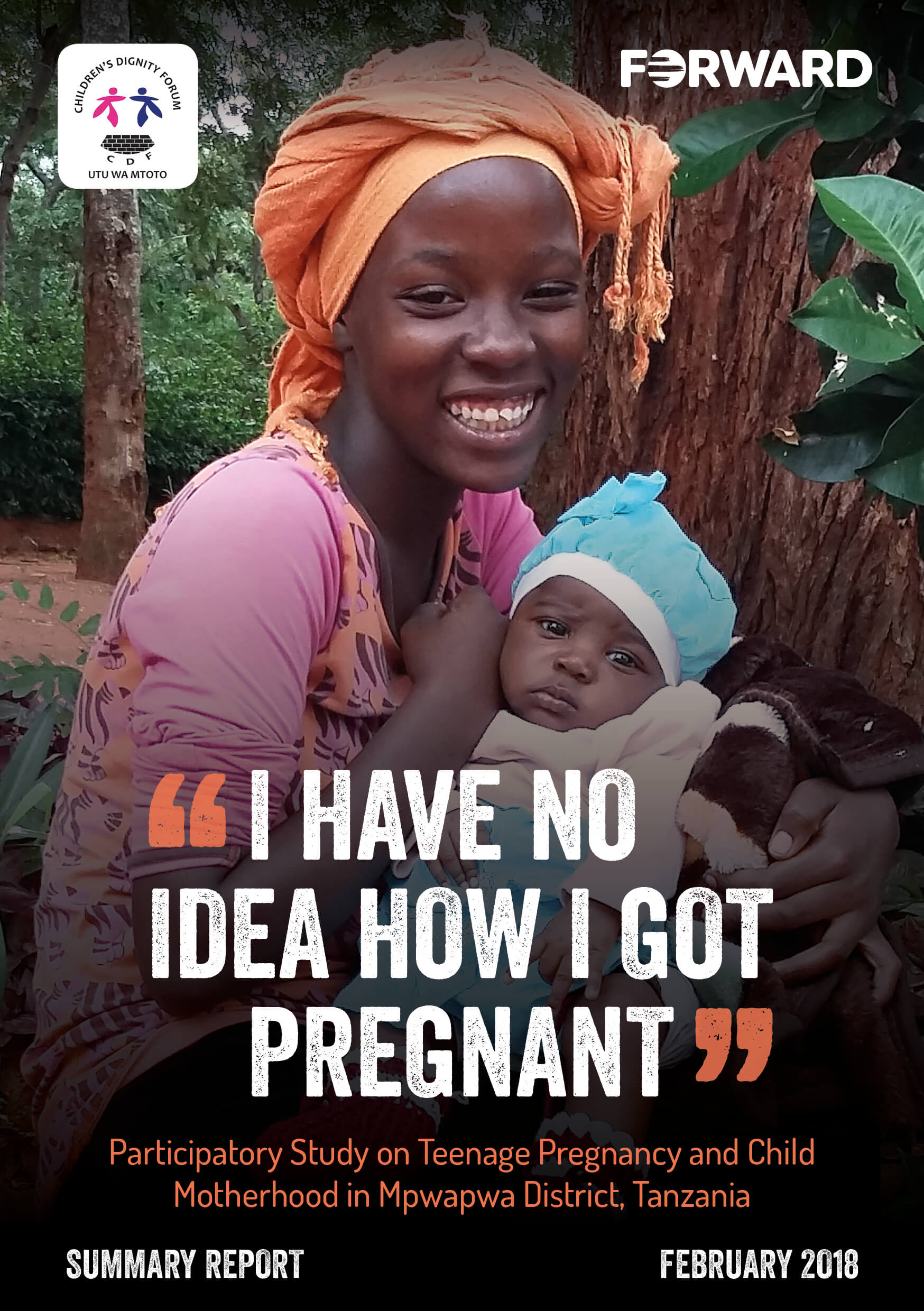 ‘I Have No Idea How I Got Pregnant’ Summary Report